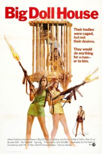 دانلود فیلم The Big Doll House 1971 دانلود فیلم The Big Doll House 1971