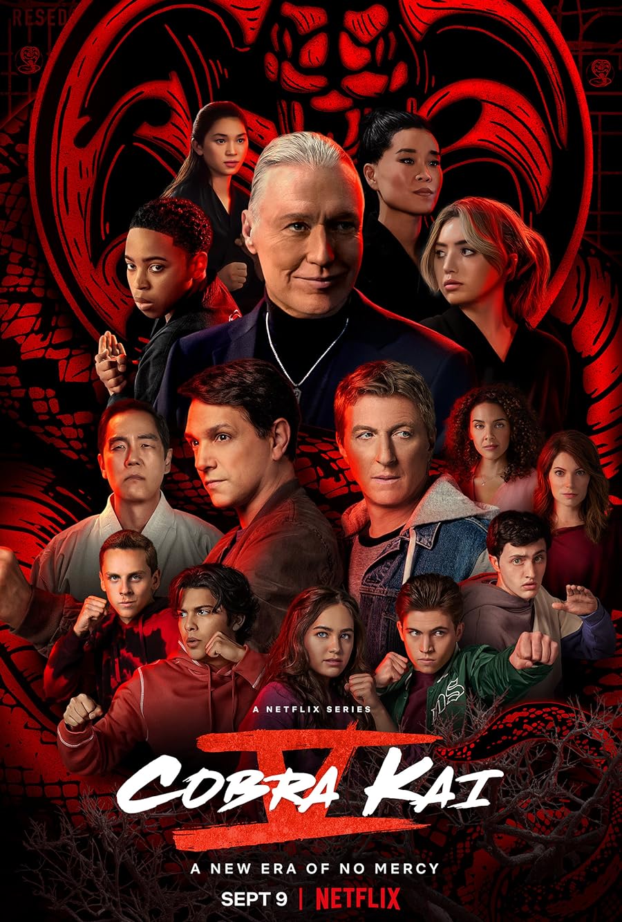 دانلود سریال Cobra Kai با زیرنویس فارسی چسبیده