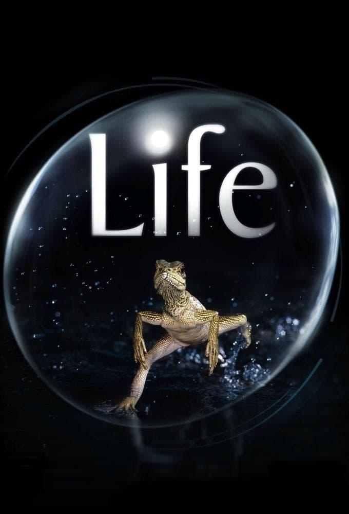 دانلود سریال Life با دوبله اختصاصی دانلود سریال Life با دوبله اختصاصی